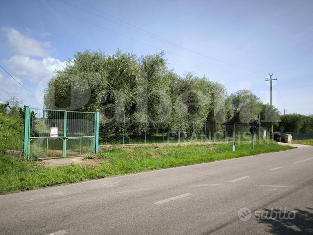 Terreno Agricolo Fabrica di Roma