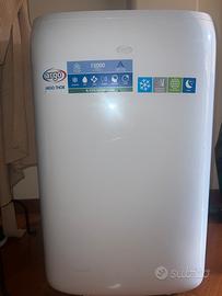 Climatizzatore portatile