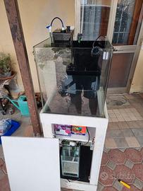 acquario marino completo 