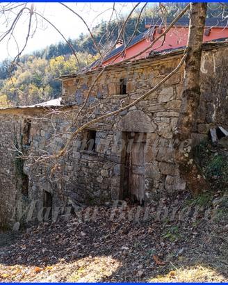 Borzonasca: Casa rustica su tre piani - terreno