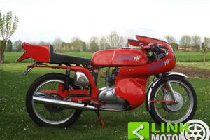 MV AGUSTA Altro 350 Sport Bicilindrica con caren