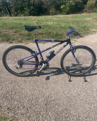 Bianchi Ragno Vintage