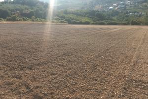 Terreno agricolo per fotovoltaico