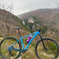 Bici mountain bike 29 canyon