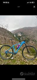 Bici mountain bike 29 canyon