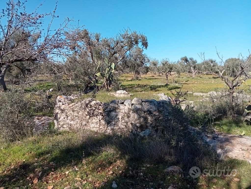 Trullo con terreno c.da Galeasi Grottaglie - Vista 2