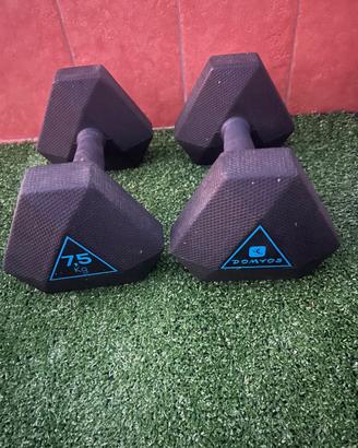 coppia manubri 10kg e 7.5kg