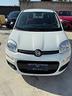 fiat-panda-1-2-pop