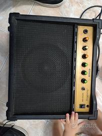 sound king Guitar 30w 