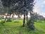 Immagine 18