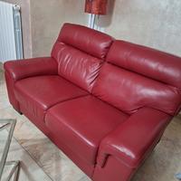 Divani in pelle