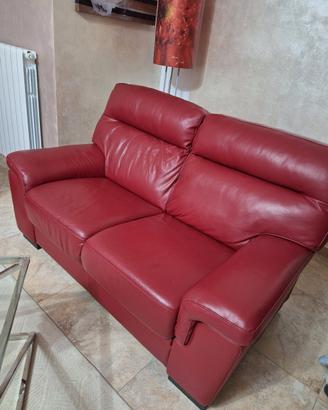 Divani in pelle