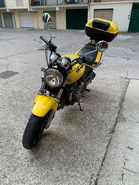 Honda hornet 600