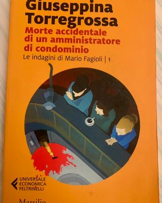 Morte accidentale di un amministratore di condomin