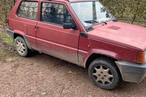 FIAT Panda 1ª serie 1100 i.e. cat Young