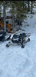Ski doo 800 xp rev 155