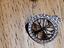 Immagine 6