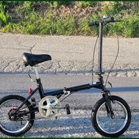 Bici da Barca — Assetto Tecnico Pieghevole