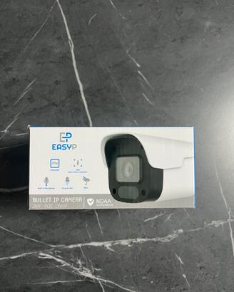 Telecamera IP Poe EasyP 2MP da esterno IP66