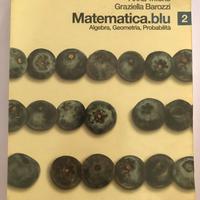 Matematica blu -volume 2