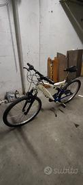 Bici  Mountain bike Shadow 4000