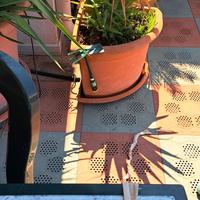 vasi da giardino