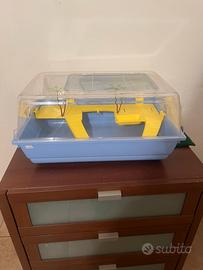Tartarughiera Maxi 2GR in plastica