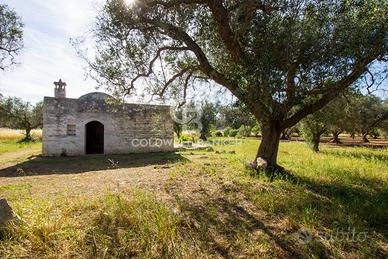 Rustico/Casale/Corte - Latiano