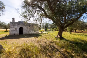 Rustico/Casale/Corte - Latiano