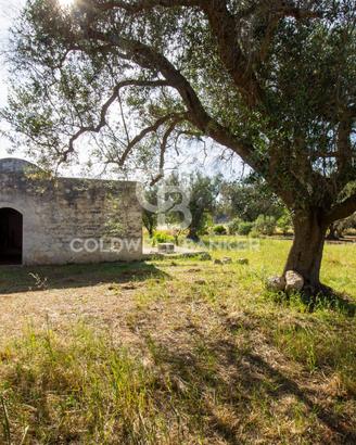Rustico/Casale/Corte - Latiano