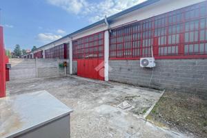 CAPANNONE A PIEVE EMANUELE