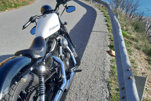 Harley davidson iron 883