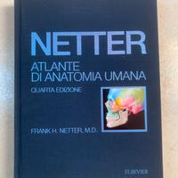NETTER - Atlante di Anatomia Umana IV edizione