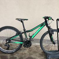 Scott scale 24 roxeter
