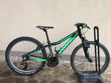 Scott scale 24 roxeter