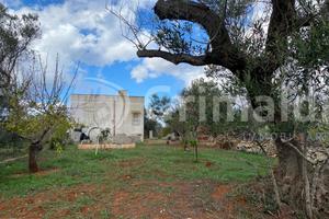 Terreno Agricolo Sannicola [Cod. rif 3273834VCG]