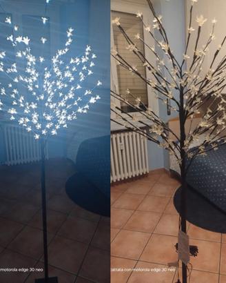 Albero decorativo