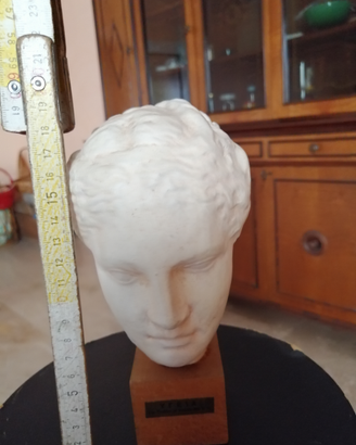 Testa romana