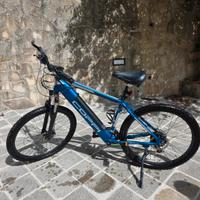 Bicicletta elettrica con pedalata assistita