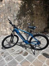 Bicicletta elettrica con pedalata assistita