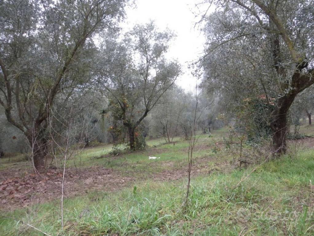 Immobile in asta di 94562 m² a San Giorgio del San - Vista 5