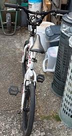 Modello BMX