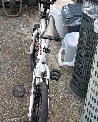 Modello BMX