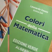 Colori della matematica 1 edizione verde 
