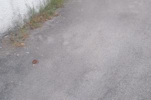 Golf 1900 77 kv 105 cavalli