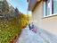 Immagine 28