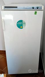 Congelatore Verticale REX Freddo 4 Stelle