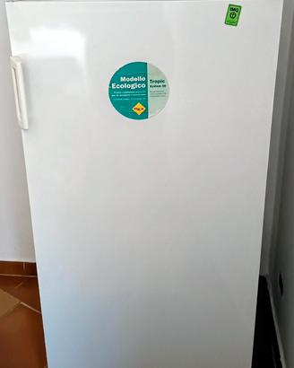 Congelatore Verticale REX Freddo 4 Stelle