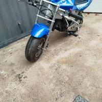 Minimoto pista 