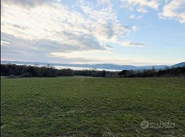 Terreno di 32900 m² a Trevignano Romano